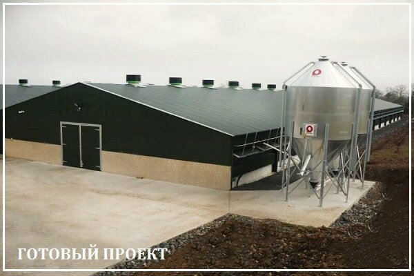 Этапы возведения птицефабрики от завода ВелесТент-бгк